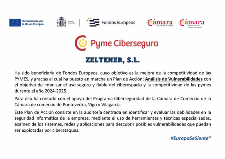 pyme cibersegura 768x541 - Programa Ciberseguridad de la Cámara de Comercio de la Cámara de comercio de Pontevedra, Vigo y Vilagarcía​